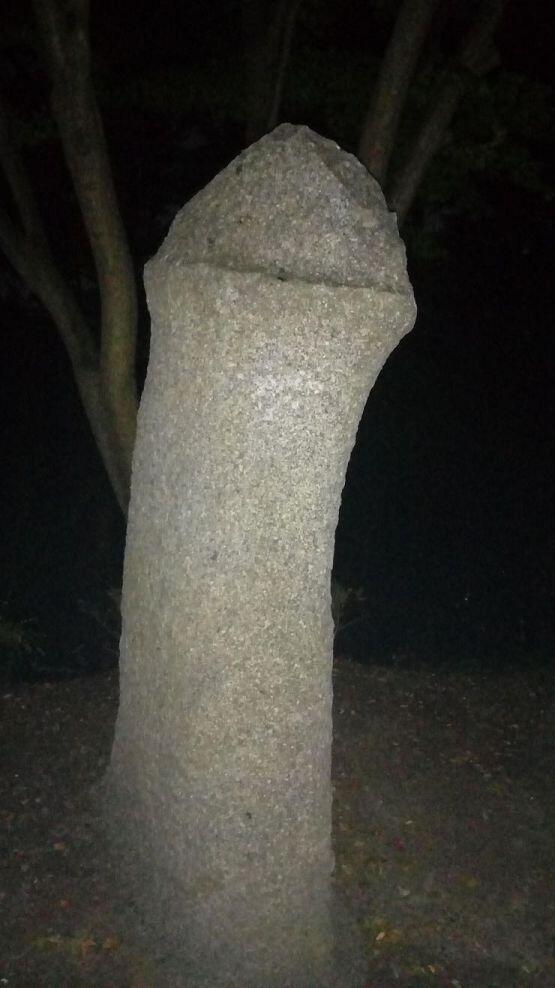 정체가 뭘까? 그냥 나무들 사이에 이거 혼자 우뚝 서있던데.