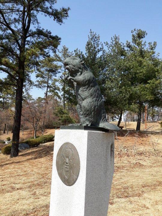 천안에 있다는 비버 동상