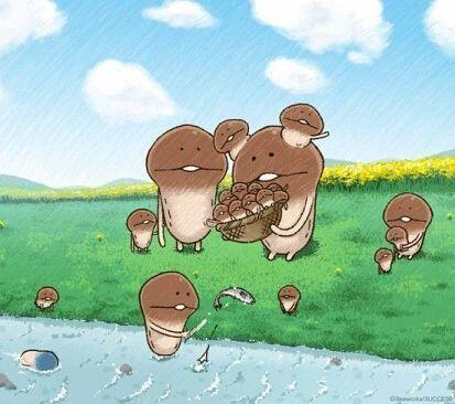 이게 나메코야!! 입만 다물면 완전 똑같이 생겼는뎈ㅋㅋㅋㅋㅋㅋㅋ