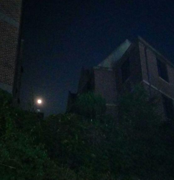 투척