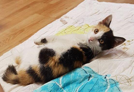 짜잔