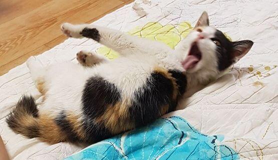 짜잔