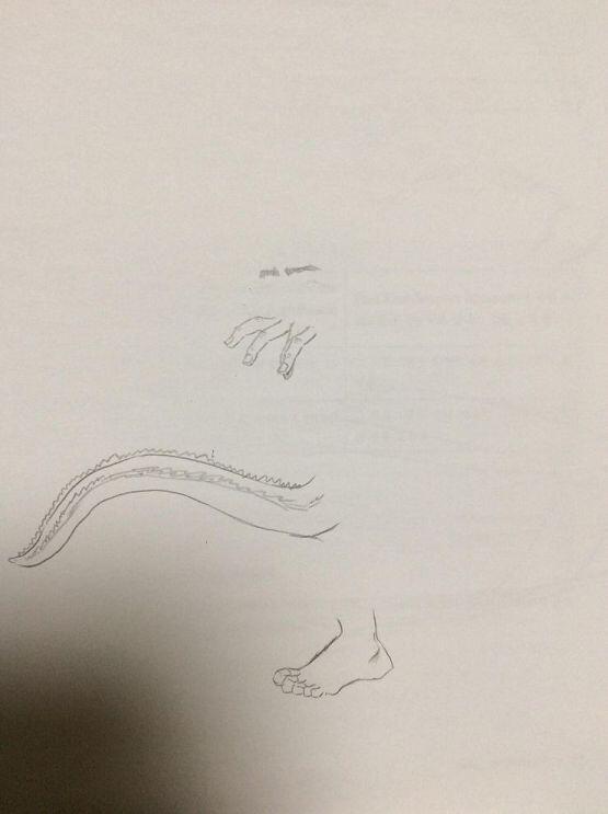갑작스레 멀쩡해지네 ㅋㅋㅋ 그럼 다음은 >>25, >>26