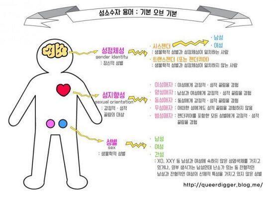 이런거 말하는건가... 딴 사진 또 있었던거 같은데 안 보이네... 사진 밑에 적힌 출처 블로그 들어가면 정보 많으니까 한번 봐봐~