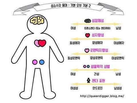 이런거 말하는건가... 딴 사진 또 있었던거 같은데 안 보이네... 사진 밑에 적힌 출처 블로그 들어가면 정보 많으니까 한번 봐봐~