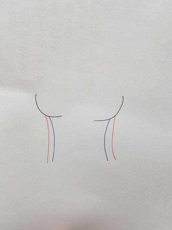 >>3 숫자+영어▶밑가슴둘레+컵사이즈임 즉, 밑가슴둘레가 작고, 컵사이즈가 클수록 큰가슴처럼 보이는거임. 예를 들면 85A와 70A를 나란히 세