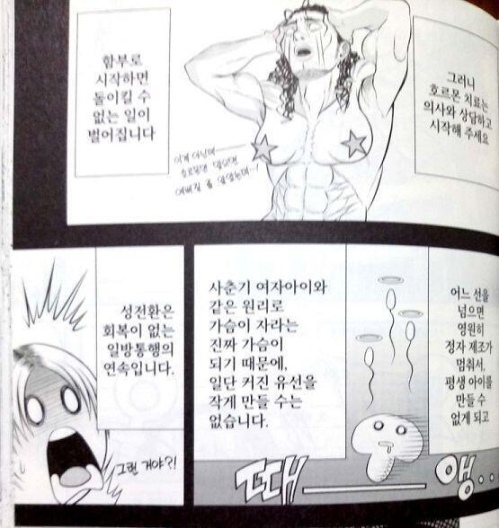 집에 있던 책 생각나서 가져와봤다. 타고난 성별이 잘못됐다! 라고 트랜스여성인 만화가분이 그리신 만화의 일부. 이 만화에선 트랜지션 과정이 주가