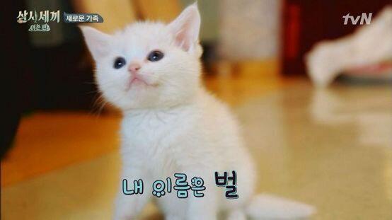 귀여운 사진이라고 올라온 사진을 클릭했는데 혐짤이었다
