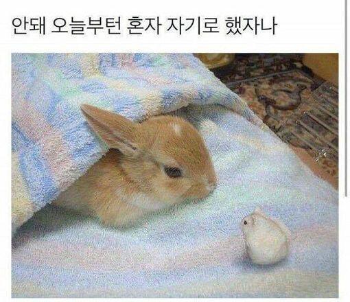웅 우리쫌 긍정적이고 순하게 비판할 필요가 있써