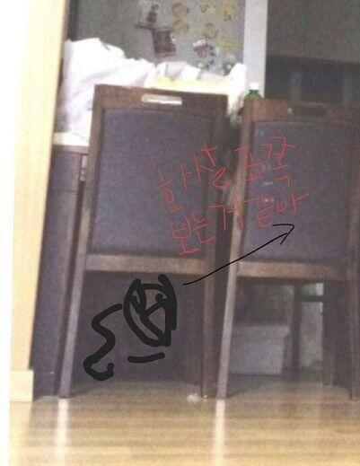 난 다른모습으로보이는데.. 멋대로 >>212 사진써서미안..약간 이런느낌...?