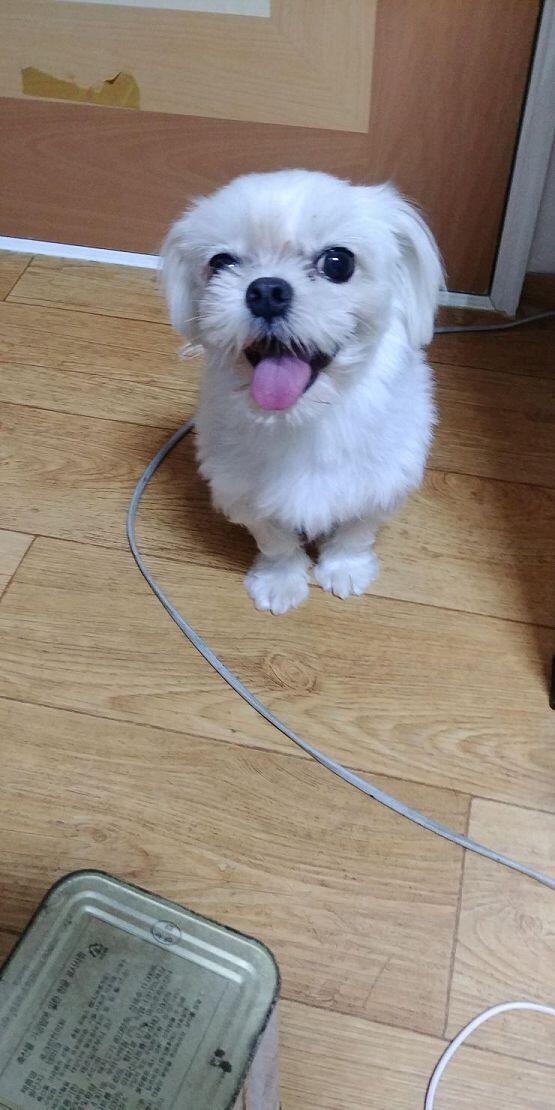 우리애기 사진