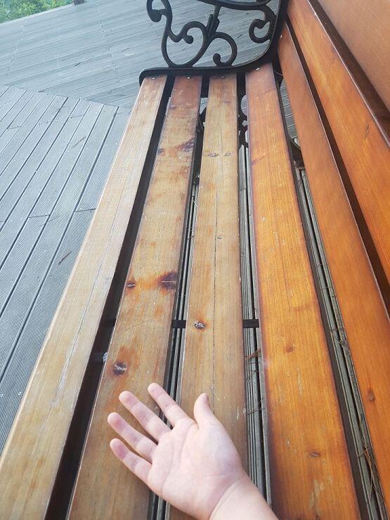 사진 인증