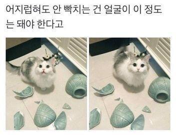 얍