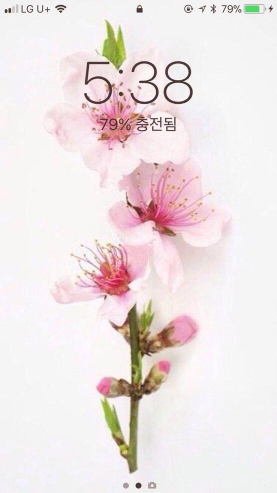 아무도 관심없는것 같지만ㅋㅋ 난 배경화면은 일케해노ㅏ써 캡쳐본은 jpg안올라가서 네이버블로그 내꺼에 비공개로 저장해놨다가 올려