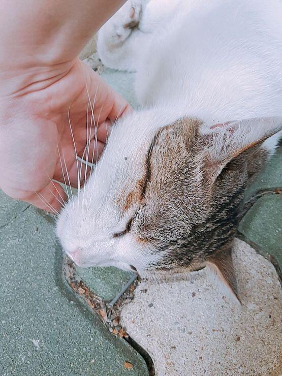 사랑해요 주인님들!!!