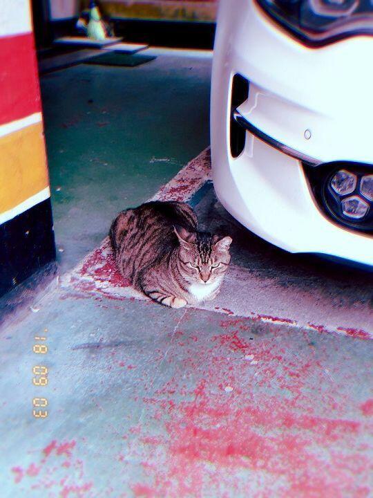 ㅎㅎ 인증샷