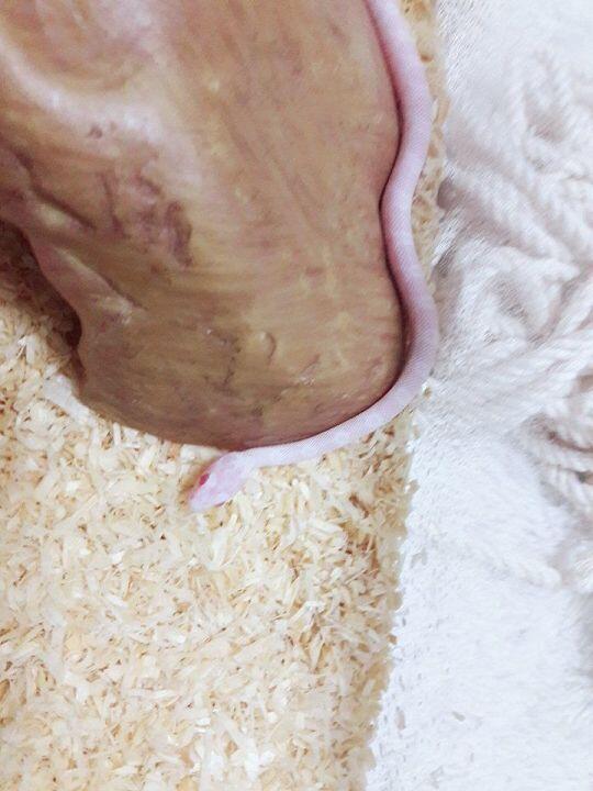 쪼끄매ㅎㅎ