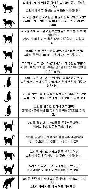 >>7 헷갈려서 찾아봤더니 꼿꼿이 세운건 호의가 맞는데 털이 곤두서있으면 화난거라고 한다!! 꼬리 끝이 약간 말린건 약간의 경계섞인 친근함이라는