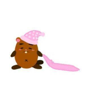 비버들 잘자