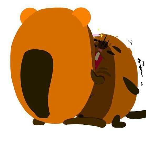 결국..비버짓거리를 들켜버리고 눈썹을 밀려버리는 우리 불쌍한 비버...