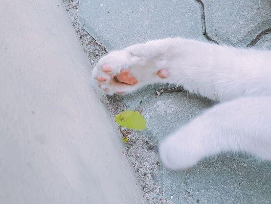 >>2