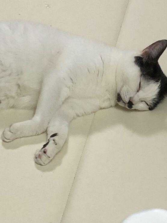 울집 고앵~!~!~!~!
