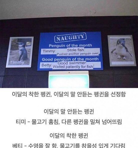 재밌어서 줏었던것들