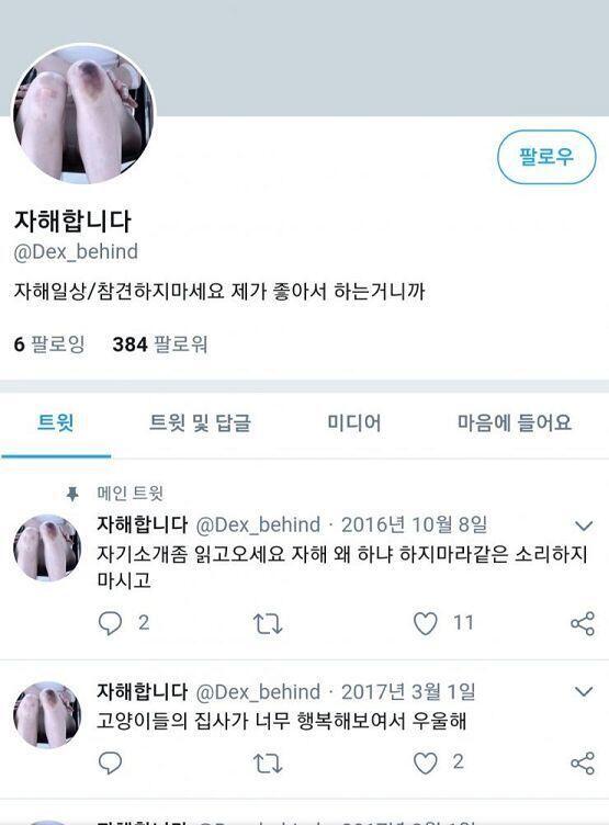 판단은 너희에게 맏기겠다