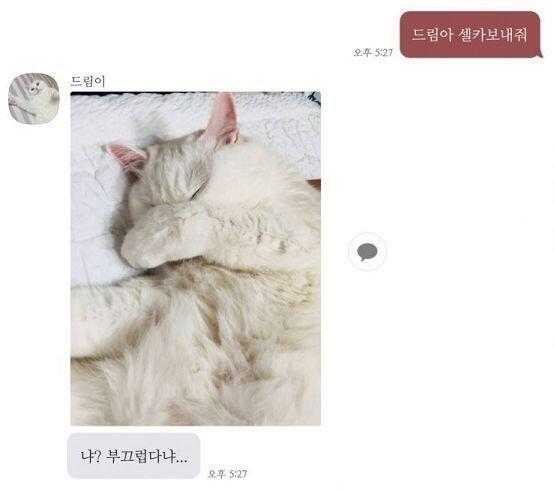 안녕 나 지금 밖이양 약속가는 중 헹 내가 한번 내남친 롱패딩을 뺏어입은 적 있는데 키차이가 많이 나진 않지만 역시 체격차이는 있는지 펄럭펄럭은