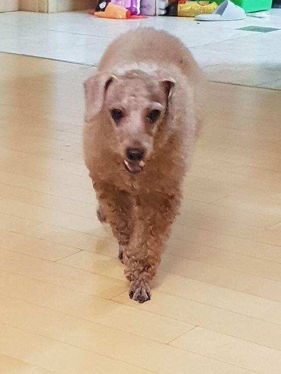 그래도 할건 해야지..