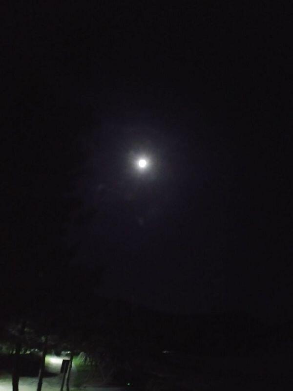 ㅎㅎ안올라가 비빕ㅠㅠ