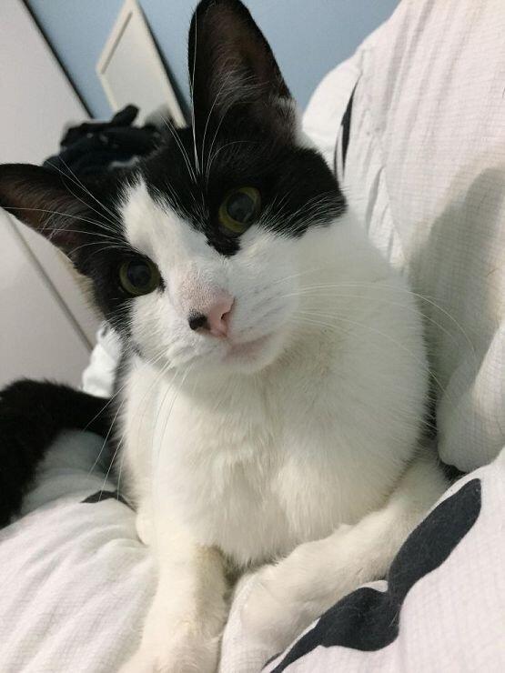 그렇다면.. 사진을 보고도 심장이 멎지 않을 자신이 있는 레스주들만 봐줘...! 초 근접샷 포함이니까..!