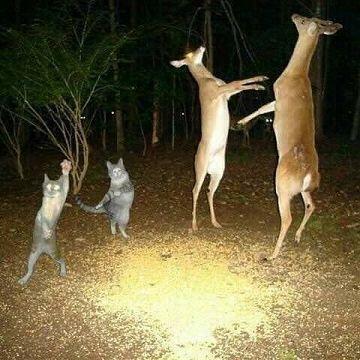 받아랏!