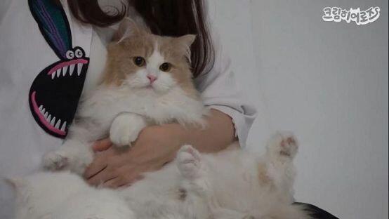 >>13 1. 으응? 모르는 사람? 2. 잡혀 부럿당... 3. 갇혀 부럿당...