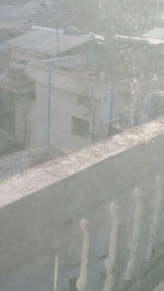 사진에 빨랫줄 보여??ㅠㅠㅠㅠㅠㅠㅠ저우ㅣ에 앉아서 팔락거리다가 나 쳐다봐서 아빠한테 좀 봐보랬더니 사라졌어ㅠㅠㅠㅠ 어디로 간걸까