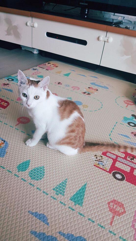 비버 : 여.. 여깄다!!! 이제 물러가라!