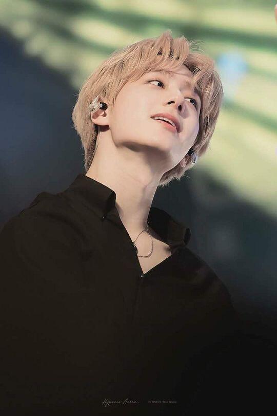 이런 느낌이려나??