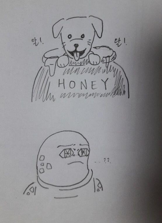~거북이의 멘붕~ 꿀단지 안의 개는 거북이에게 이렇게 말했습니다. >>7 1. 나는 사실 꿀단지의 요정...☆ 2. 왈 3. 꺼져 못생긴놈아!!