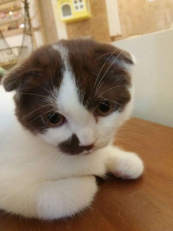 더 올리고 싶은데 바빠서 이만 가야겠다 총 9장이니까 제발 물을 뿌리지는 말아줘!!