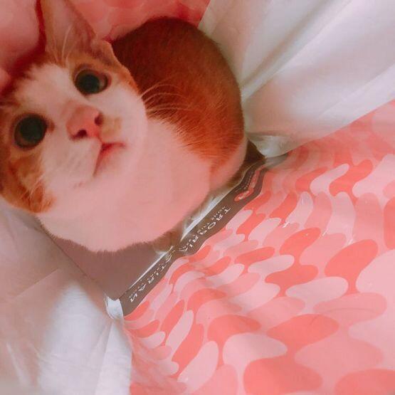우리 애 이쁘게 봐주ㅜㅇ