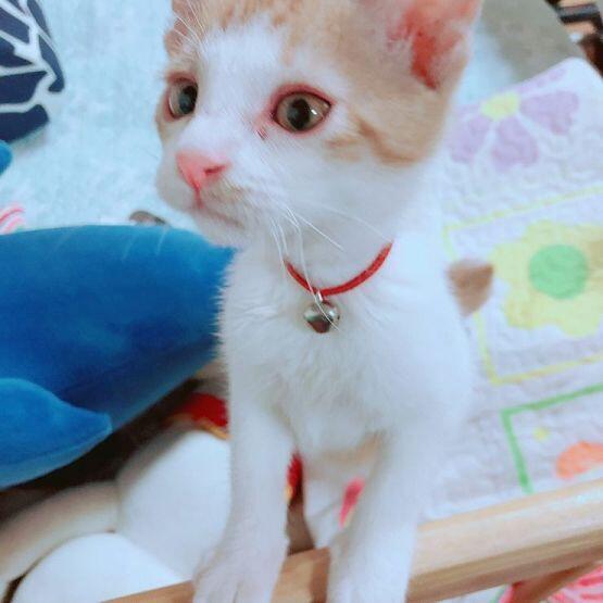 우리 애 이쁘게 봐주ㅜㅇ