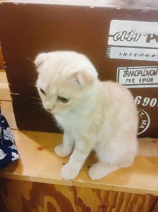 더 올리고 싶은데 바빠서 이만 가야겠다 총 9장이니까 제발 물을 뿌리지는 말아줘!!