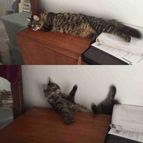 헥