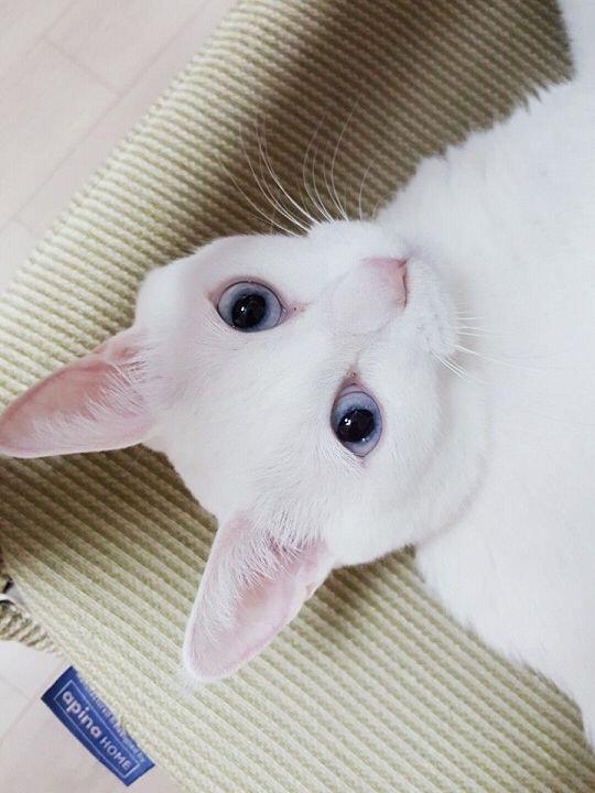 희희