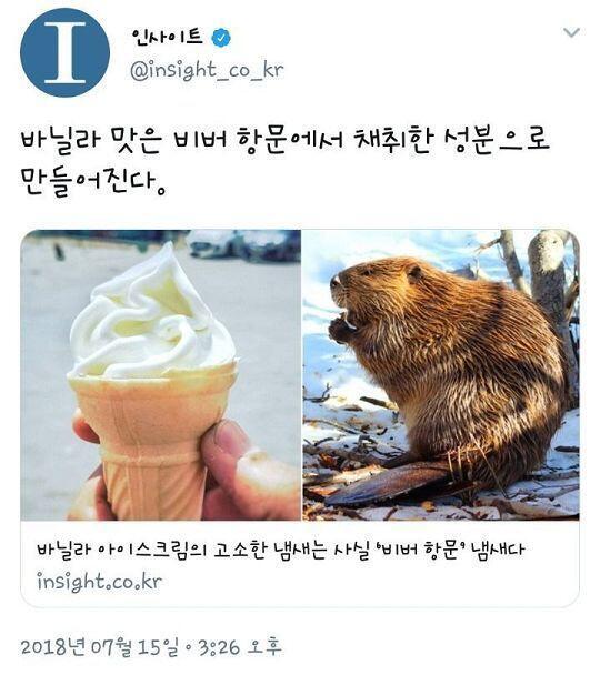 진짜임 ㅇㅇ