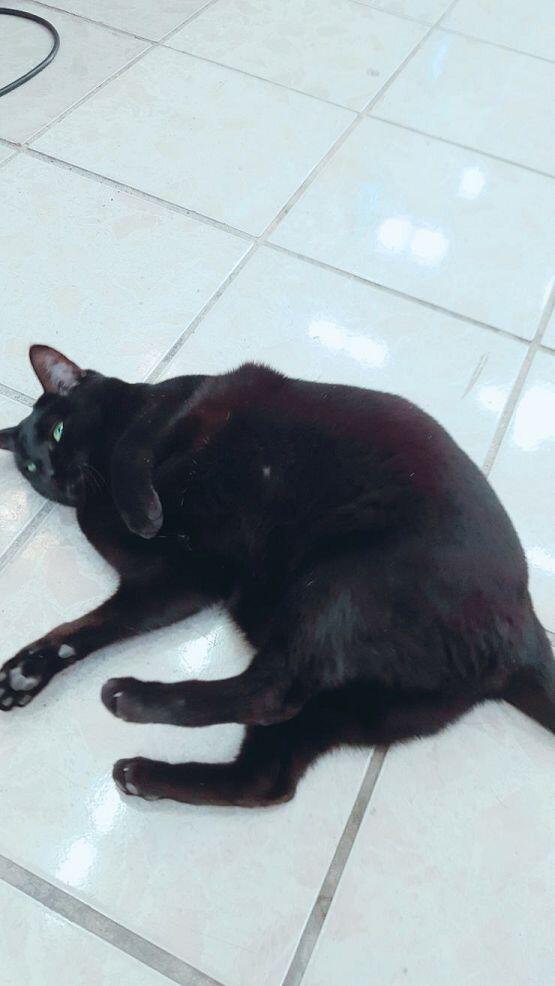 아앗..강도님.. 집 앞 마트에 사는 아이이지만 봐주세요 끄읅....