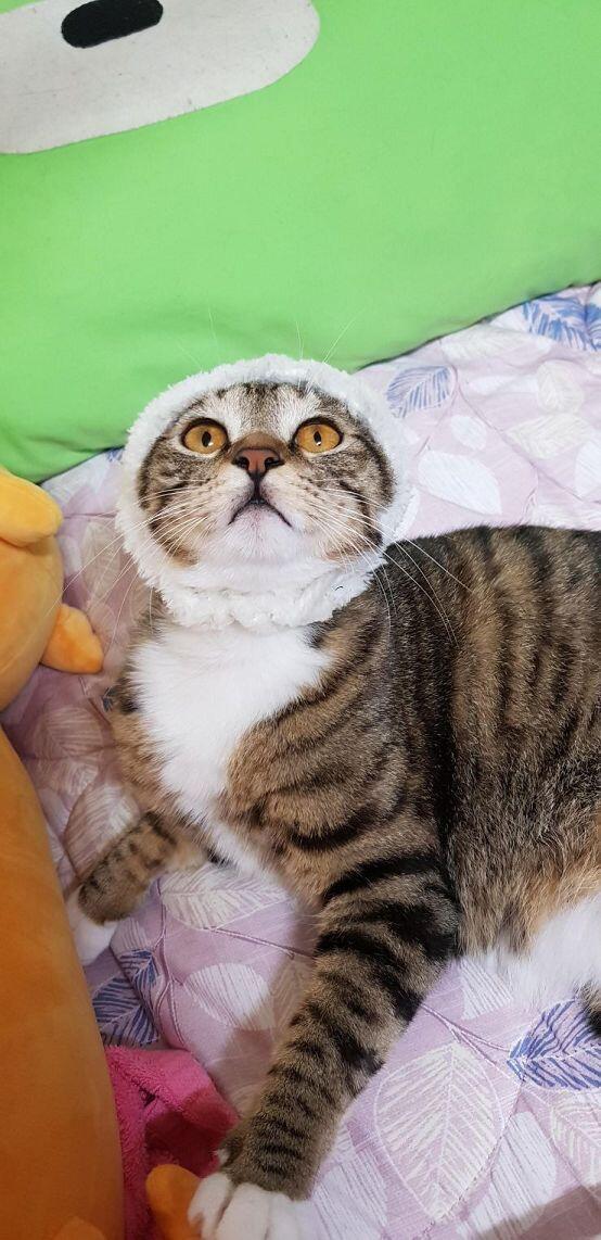 우리집 애기야ㅎㅎ 너무 귀엽지?