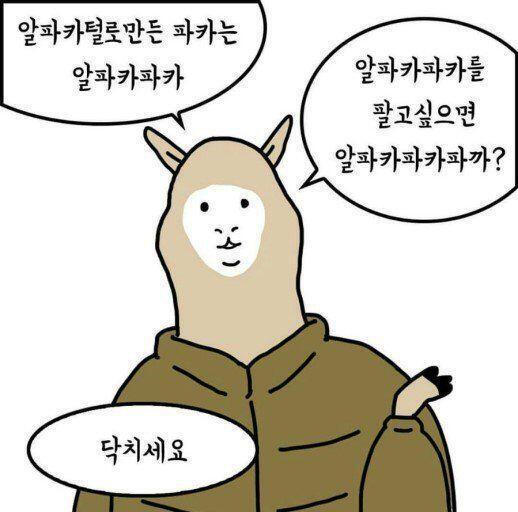 알파카파카파카?
