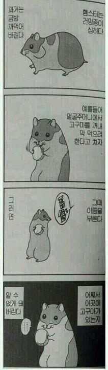 하찮고 귀여운ㄴ.......햄스터 만화...출처는 모름...이미지 검색해주시길..