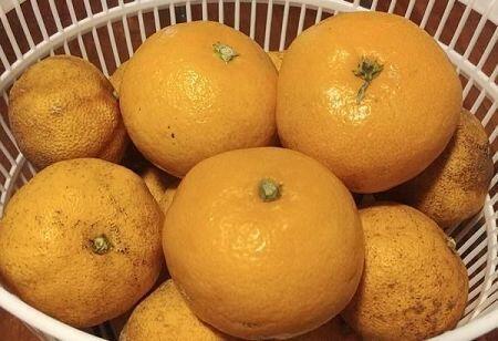 제... 제가 무슨 잘못이 있나요?...